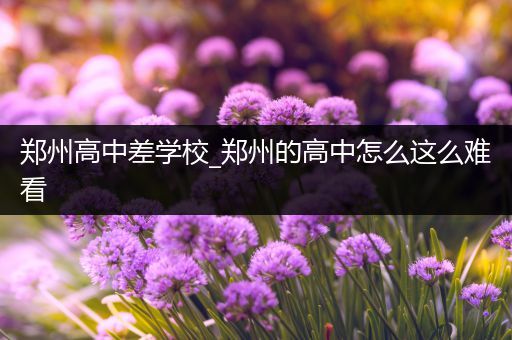 郑州高中差学校_郑州的高中怎么这么难看