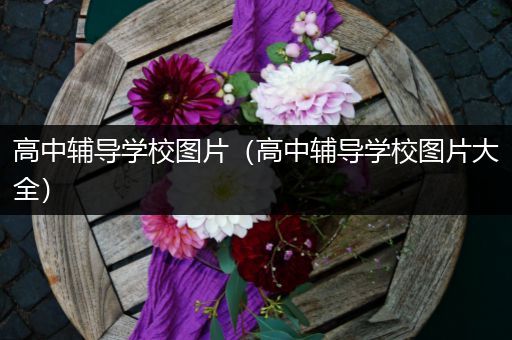 高中辅导学校图片（高中辅导学校图片大全）