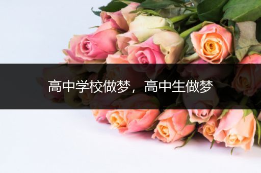 高中学校做梦，高中生做梦