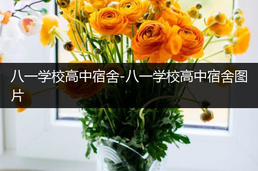 八一学校高中宿舍-八一学校高中宿舍图片