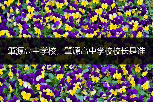 肇源高中学校，肇源高中学校校长是谁
