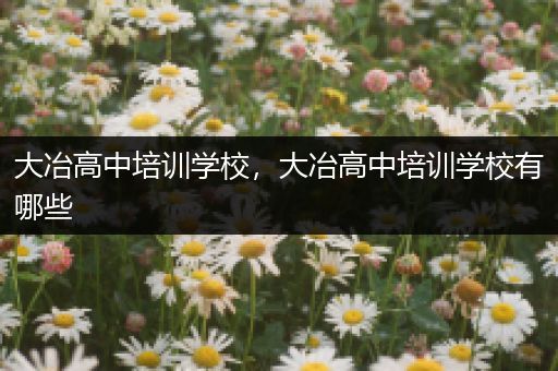 大冶高中培训学校，大冶高中培训学校有哪些
