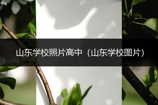 山东学校照片高中（山东学校图片）