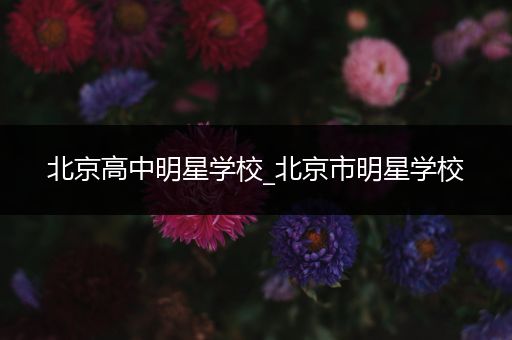 北京高中明星学校_北京市明星学校