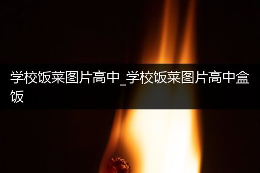 学校饭菜图片高中_学校饭菜图片高中盒饭