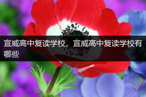 宣威高中复读学校，宣威高中复读学校有哪些