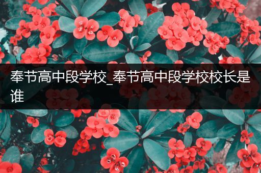 奉节高中段学校_奉节高中段学校校长是谁