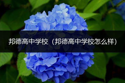 邦德高中学校（邦德高中学校怎么样）
