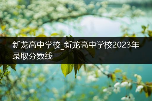 新龙高中学校_新龙高中学校2023年录取分数线