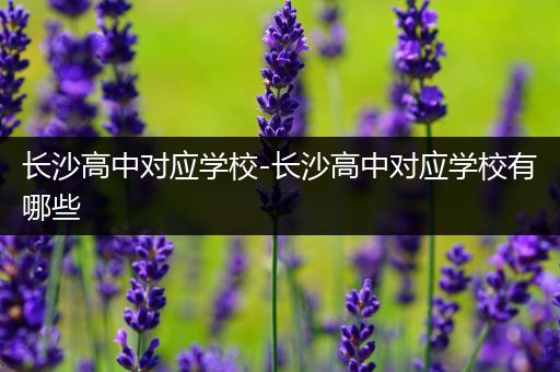 长沙高中对应学校-长沙高中对应学校有哪些