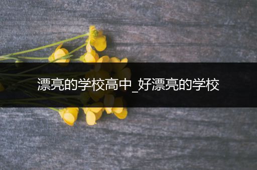 漂亮的学校高中_好漂亮的学校