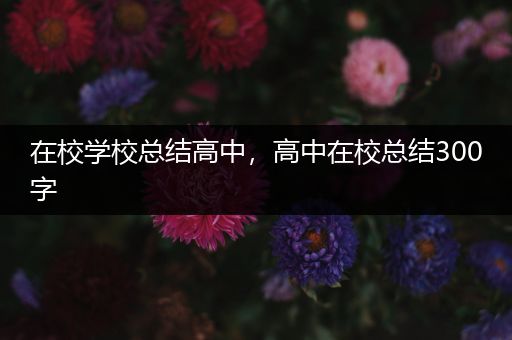 在校学校总结高中，高中在校总结300字