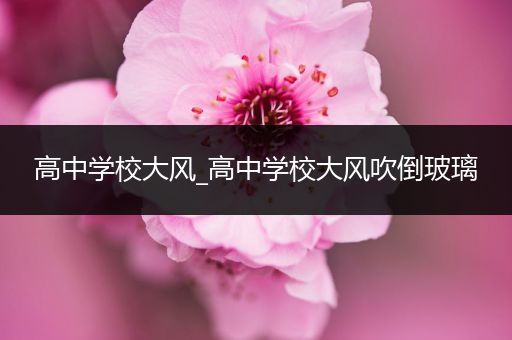 高中学校大风_高中学校大风吹倒玻璃