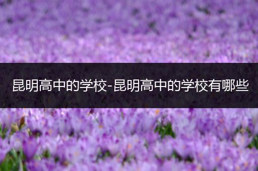 昆明高中的学校-昆明高中的学校有哪些