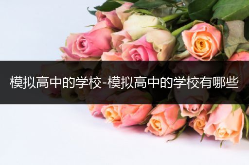 模拟高中的学校-模拟高中的学校有哪些