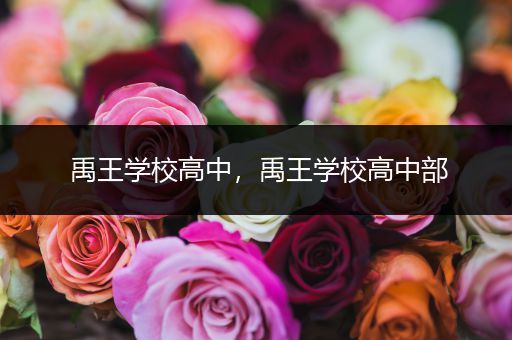 禹王学校高中，禹王学校高中部