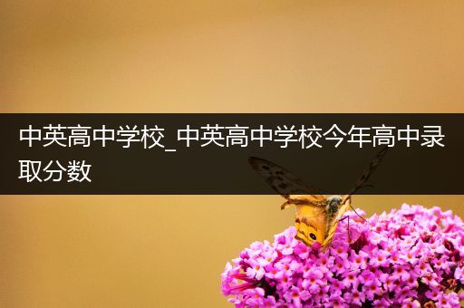 中英高中学校_中英高中学校今年高中录取分数
