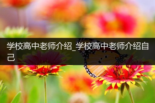 学校高中老师介绍_学校高中老师介绍自己