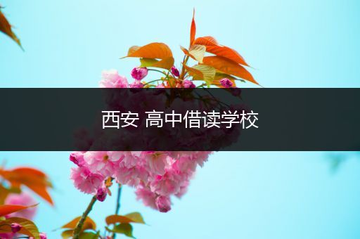 西安 高中借读学校