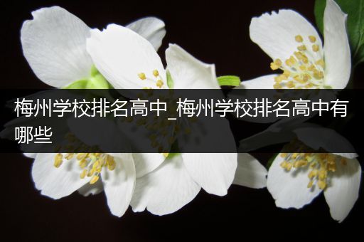 梅州学校排名高中_梅州学校排名高中有哪些