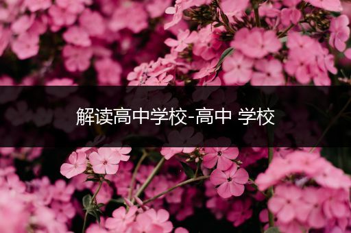解读高中学校-高中 学校
