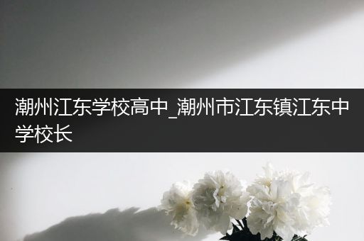 潮州江东学校高中_潮州市江东镇江东中学校长