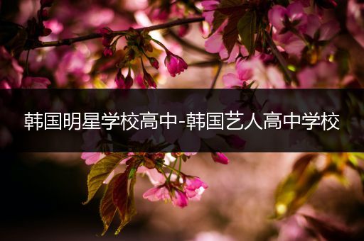 韩国明星学校高中-韩国艺人高中学校