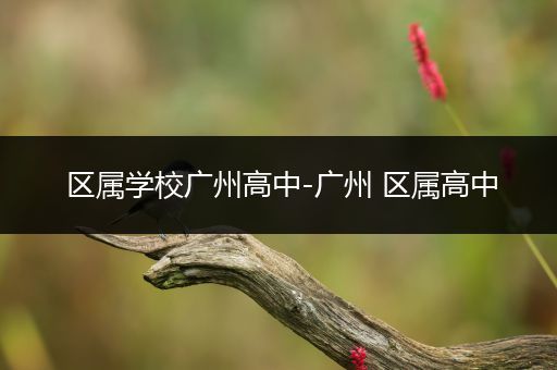 区属学校广州高中-广州 区属高中