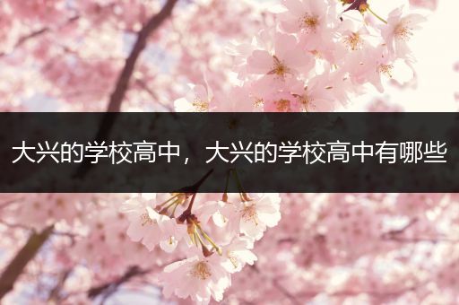 大兴的学校高中，大兴的学校高中有哪些