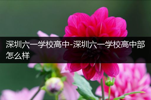 深圳六一学校高中-深圳六一学校高中部怎么样