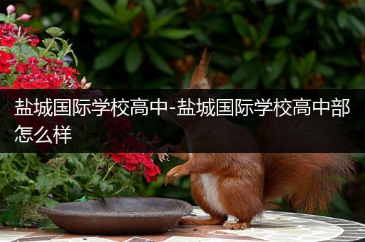 盐城国际学校高中-盐城国际学校高中部怎么样