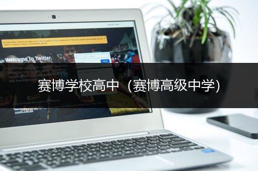 赛博学校高中（赛博高级中学）