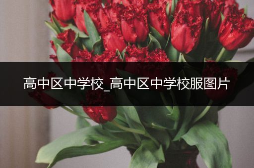 高中区中学校_高中区中学校服图片