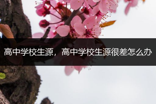 高中学校生源，高中学校生源很差怎么办