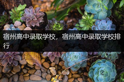 宿州高中录取学校，宿州高中录取学校排行