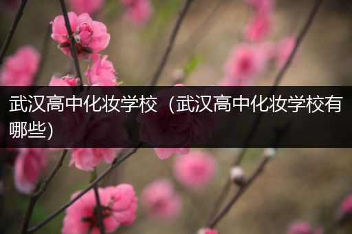 武汉高中化妆学校（武汉高中化妆学校有哪些）