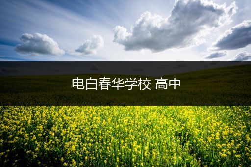 电白春华学校 高中