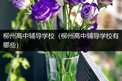 柳州高中辅导学校（柳州高中辅导学校有哪些）