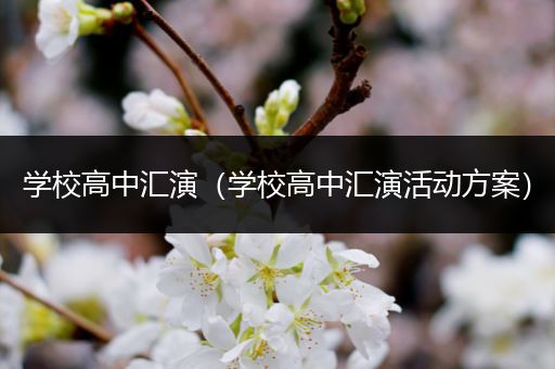 学校高中汇演（学校高中汇演活动方案）