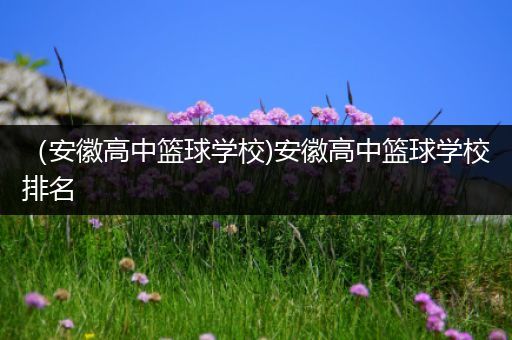 （安徽高中篮球学校)安徽高中篮球学校排名
