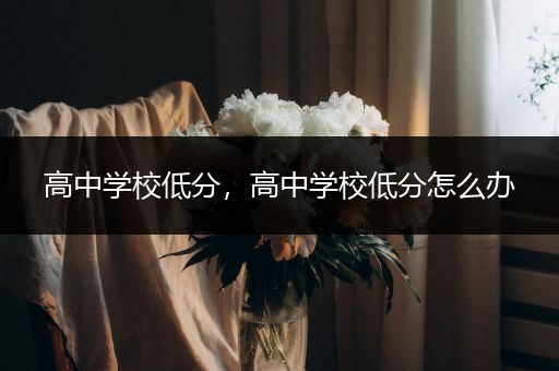 高中学校低分，高中学校低分怎么办
