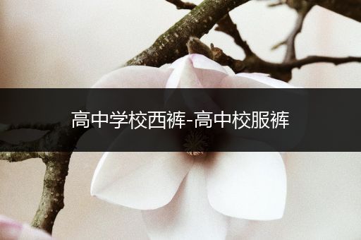 高中学校西裤-高中校服裤