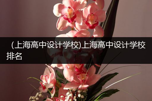 （上海高中设计学校)上海高中设计学校排名