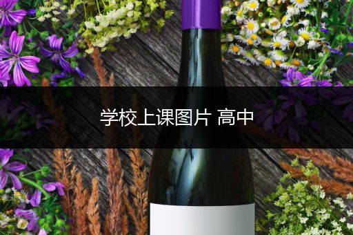 学校上课图片 高中