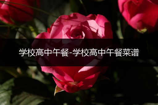 学校高中午餐-学校高中午餐菜谱