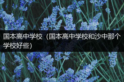 国本高中学校（国本高中学校和沙中那个学校好些）