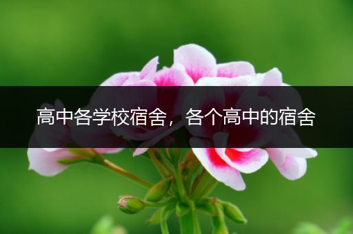 高中各学校宿舍，各个高中的宿舍
