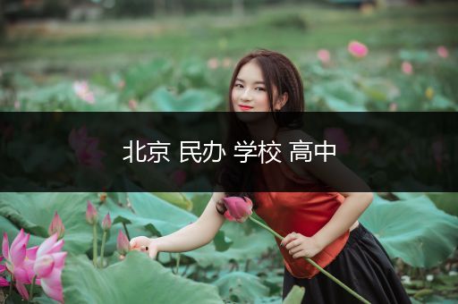 北京 民办 学校 高中