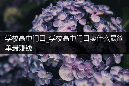 学校高中门口_学校高中门口卖什么最简单最赚钱