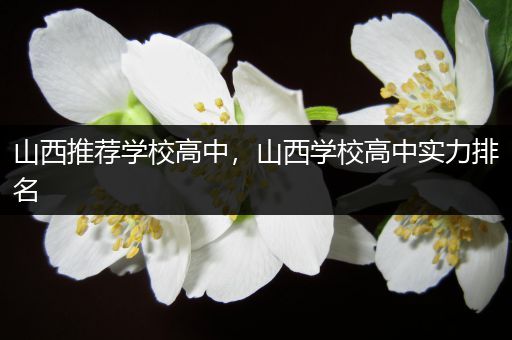 山西推荐学校高中，山西学校高中实力排名